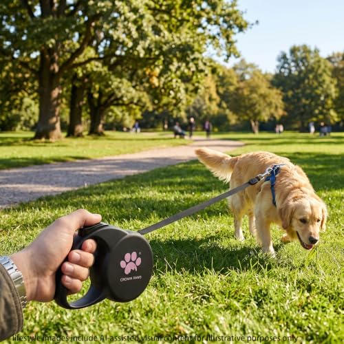 Retractable Dog Leash, 16ft Heavy Duty Nylon Tape for Large Dogs up to 110 lbs, One-Hand Brake & Lock, Tangle-Free, Ergonomic 3.2" XL Handle, Lightweight 0.56lb Black L GC-DAN
