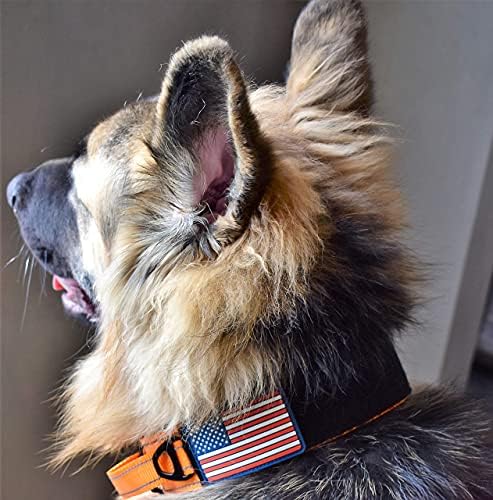 2-Inch Wide Tactical Dog Collar with Control Handle, Adjustable for Medium & Large Dogs, Military Style with Heavy-Duty Metal Buckle, USA Flag Patch & Customizable Name Plate, Training & Everyday Use