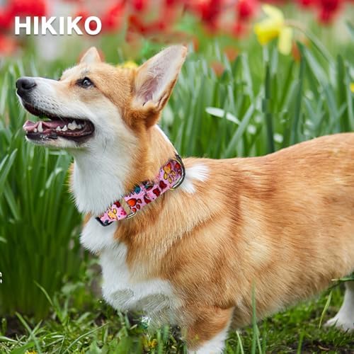Hikiko Martingale Collar for Dogs with Special Pattern,Adjustable,L