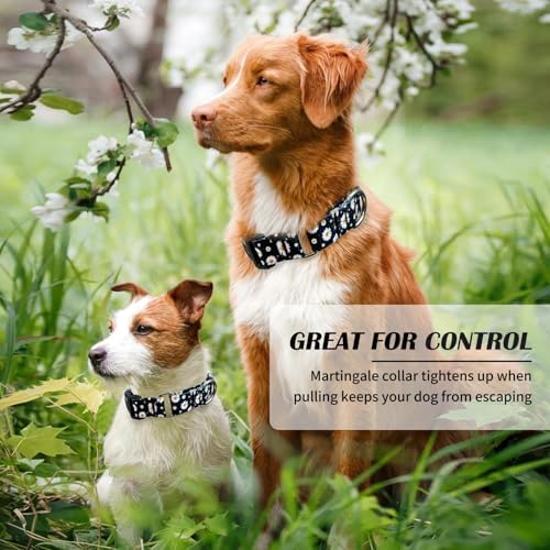 Hikiko Martingale Collar for Dogs with Special Pattern,Adjustable,S