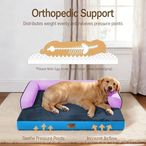 Comfort Expression Orthopedic XL Dog Bed for Large and Extra Large Dogs