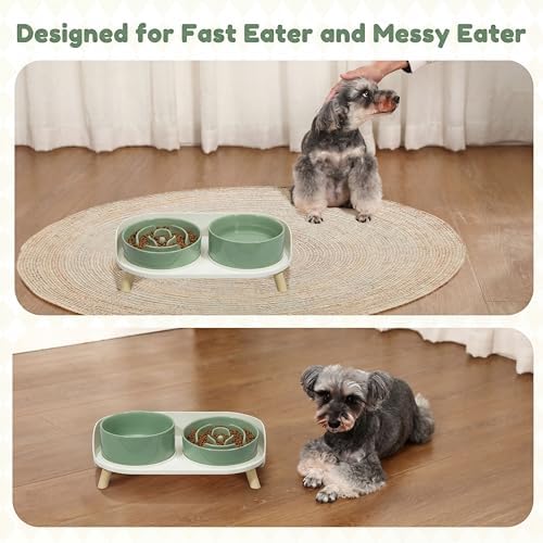 Elevated Slow Feeder Dog Bowls with Splash Proof Stand, Slow Eating 5X