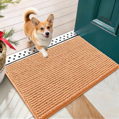 OLANLY Dog Door Mat for Muddy Paws 24x16, Extra Absorbent Chenille Mud Mat