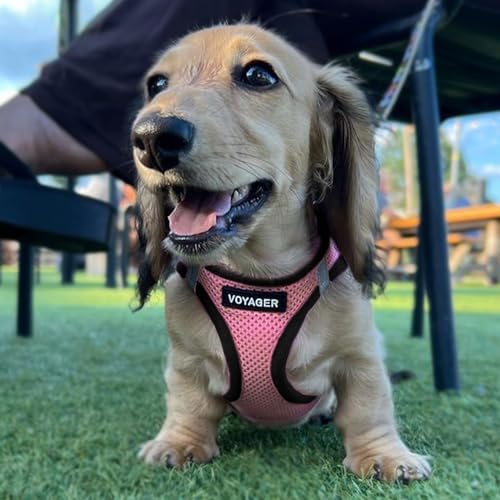 Voyager Step-in Air Dog Vest Harness - Pink/Black Trim, Medium