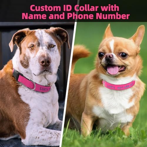 Kuley Personalized Dog Collar, Embroidered with Pet Name and Phone Number