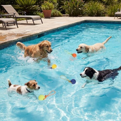 Skylety 4 Pack Floating Dog Toy with Rope Handle