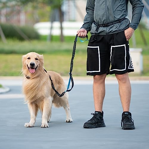 iYoShop Retractable Hands Free Dog Leash, Medium/Large, 25-150 lbs, Orange