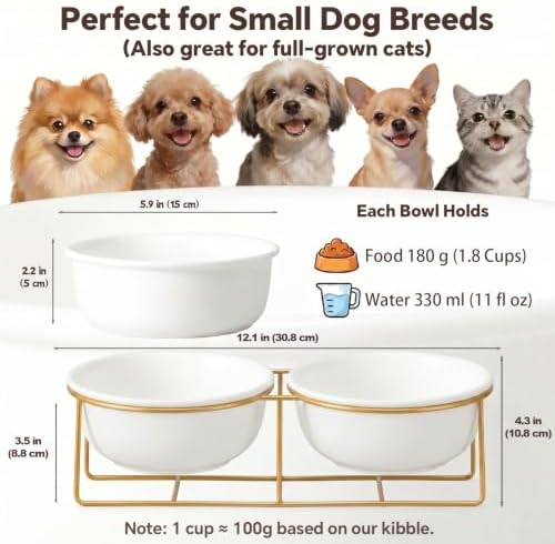 Elevated Dog Bowls for Small Dogs - 2 Ceramic Bowls with Gold Iron Stand - Raised Pet Dish Set for Food and Water - Comfortable Feeding