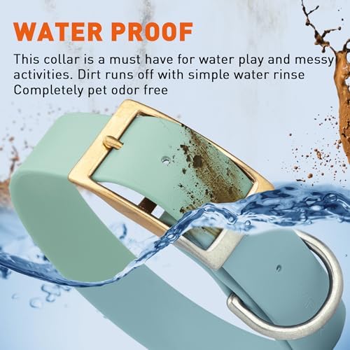 Viper Biothane Heavy Duty Waterproof Dog Collar Strong Coated Nylon Webbing w/Solid Brass Hardware Odor-Proof Easy to Clean High Performance Fits Small Medium or Large Dogs, Sage Green