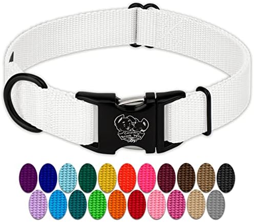 Country Brook Petz - Premium Nylon Dog Collar with Metal Buckle for Small Medium Large Breeds - 30+ Colors (Medium, 3/4 Inch, White)