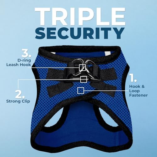 Best Pet Supplies Voyager Step-in Air All Weather Mesh Harness and Reflective Dog 5ft Leash Combo with Neoprene Handle, for Small, Medium and Large Breed Puppies - Royal Blue/Black Trim, Small