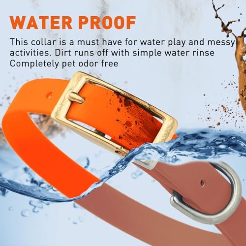 Viper Biothane Heavy Duty Waterproof Dog Collar Strong Coated Nylon Webbing w/Solid Brass Hardware Odor-Proof Easy to Clean High Performance Fits Small Medium or Large Dogs, Hunter Orange