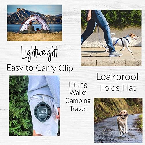 Lucky Love Dog, Collapsible Dog Bowl Compact Travel Water Dog Dish, Steel