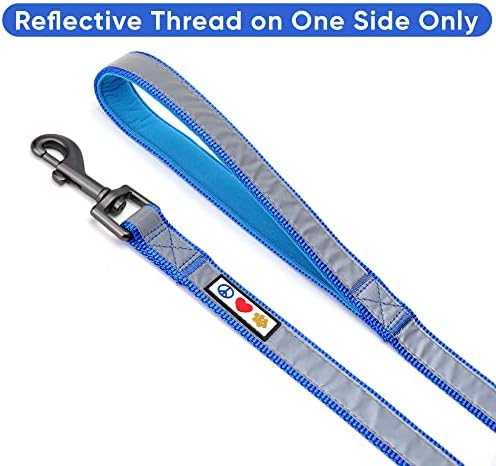 Pawtitas 6 FT Padded Dog Leash with Comfortable Neoprene Padding Handle - Blue Lead | Reflective Dog Leash with Highly Reflective Band Perfect for Extra Small and Small Dogs and Puppies
