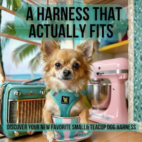 EcoBark Step in Dog Harness - Reflective Soft Luxurious Mesh Dog Harnesses for XXS, XS, Small, and Medium Dogs - Eco-Friendly Comfort Secure Halter No Pull Adjustable Pet Vest (Mint, Small)