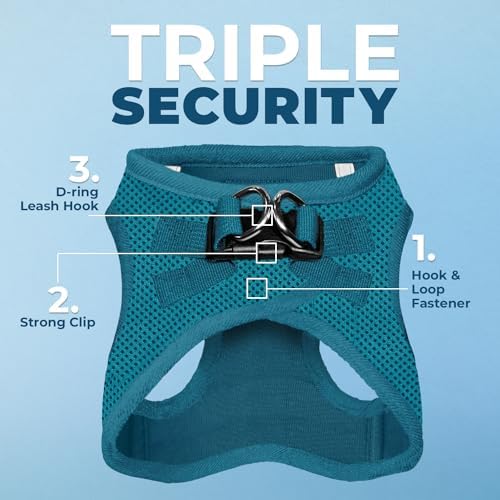 Best Pet Supplies Voyager Step-in Air All Weather Mesh Harness and Reflective Dog 5ft Leash Combo with Neoprene Handle, for Small, Medium and Large Breed Puppies - Turquoise, Small