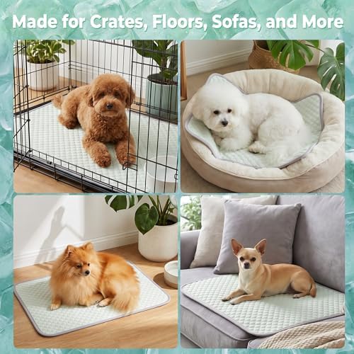 PatiencET Dog Cooling Mat, 22 x 28 in No-Gel Cooling Pad for Small Dogs, Puppies and Cats, Cool Touch Pet Mat with Ice-Dot Texture, Washable Summer Crate Pad for Floor, Sofa, Car, Light Green