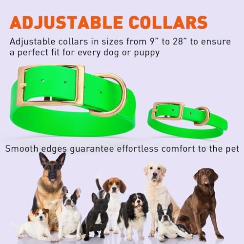Viper Biothane Heavy Duty Waterproof Dog Collar Strong Coated Nylon Webbing w/Solid Brass Hardware Odor-Proof Easy to Clean High Performance Fits Small Medium or Large Dogs, Tropical Green