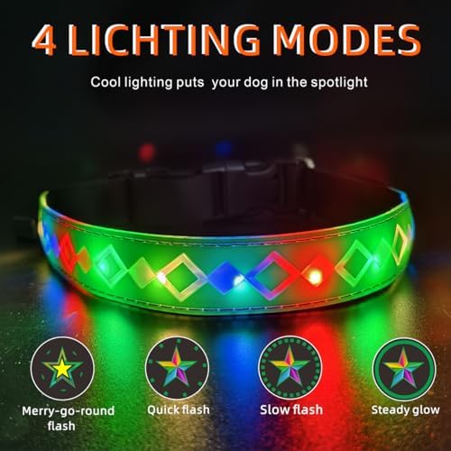 Personalized Flashing Dog Collar with Laser Engraved ID Tag