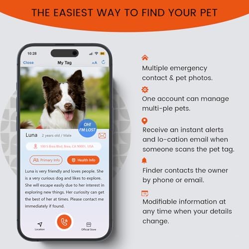 Personalized Dog Collar with QR Code Dog Tag, Orange L
