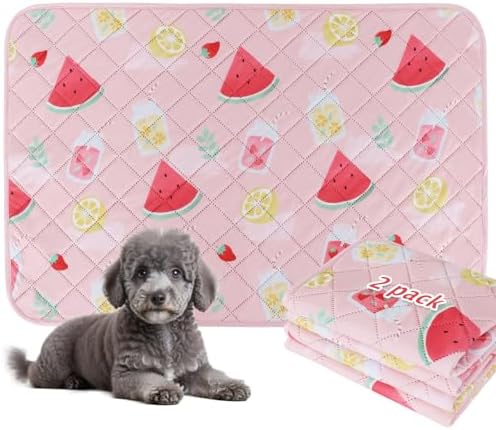 BVAGSS Washable Pee Pads for Dogs, 2 Pack Reusable Leakproof Puppy Wee Wee Pad, Non-Slip Waterproof Pet Training Pads, Super Absorbent Whelping Pads XH081 (Watermelon, 41X41 Inch (Pack of 2))