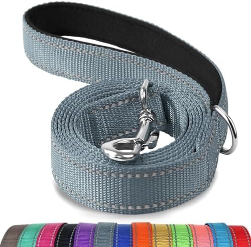 Joytale Reflective Dog Leash for Medium & Large Dogs, 4 FT x 1", Gray
