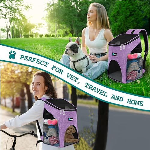 PetAmi Cat Backpack Carrier for Small Dogs and Large Cats, Airline Approved