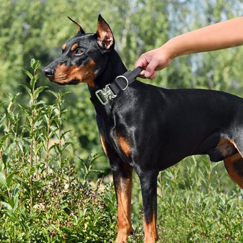 Thick Tactical Dog Collar with Handle for Medium Dogs -Heavy Duty(Black)