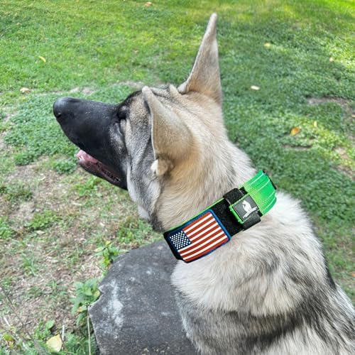 2-Inch Wide Tactical Dog Collar with Control Handle, Adjustable for Medium & Large Dogs, Military Style with Heavy-Duty Metal Buckle, USA Flag Patch & Customizable Name Plate, Training & Everyday Use