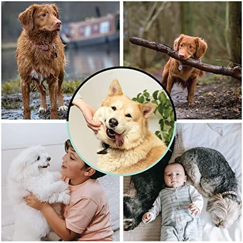 Dog Paw Cleaner for Pet Grooming, Washer Large Dogs with Silicone Scrubber Dogs, 2 In 1 Portable Cleaning Brush Feet a Soft Towel to Dry