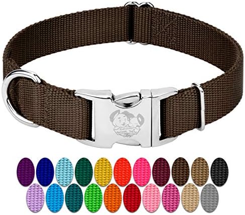 Country Brook Petz - Premium Nylon Dog Collar with Metal Buckle for Small Medium Large Breeds - 30+ Colors (Small, 3/4 Inch, Brown)