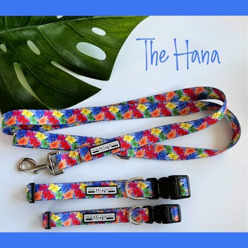 Lucky Love Dog Collar for Small Dogs Cute Adjustable Soft – Hana, Small