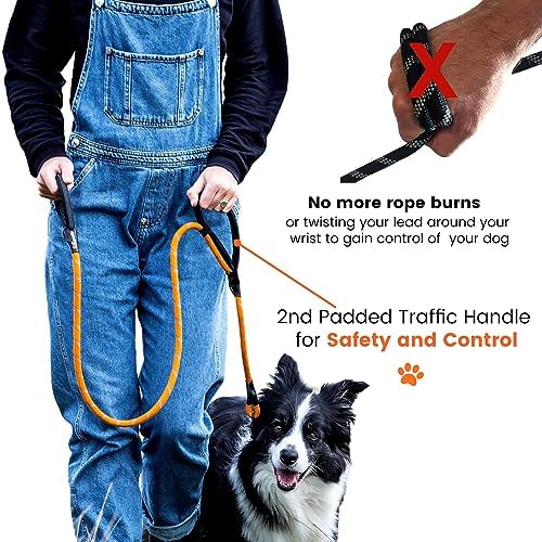 Zerosky Sweetie Rope Dog Lead - Strong Leash Blue with 2 Comfortable Padded Handles 5 FT for Medium & Large Size Pets - Reflective, Weather Resistant & O-Ring