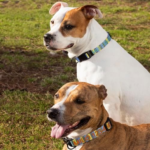 Pawtitas Personalized Dog Collar LargeDog Collar Embroider Name Phone Number Puppy Collar Adjustable Customized Collar for Large Dogs Breeds Multicolor Dog Collar