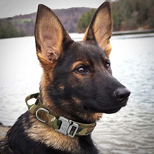 Large Tactical K9 Dog Collar - Heavy Duty with Handle, Camo for German Shepherd (X-Large, Green Camo)