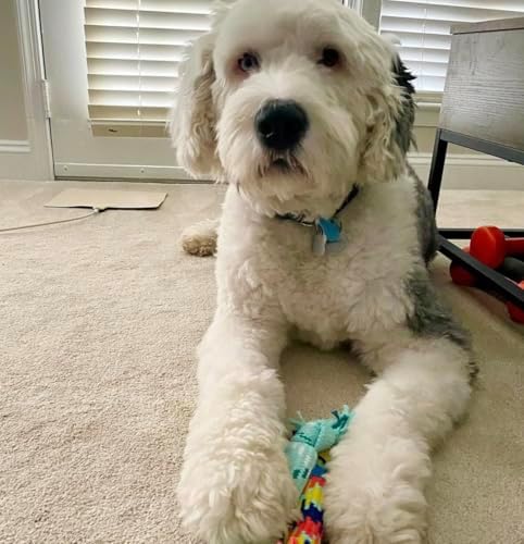 rocket & rex Puppy Rope & Tug of War Toys for Teething (3pk)