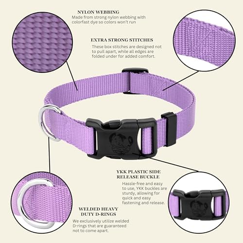 Country Brook Petz - Everyday Nylon Dog Collar for Large, Medium, and Small Dogs and Puppies - for Everyday Use in 30+ Colors (Medium, 3/4 Inch Wide, Lavender)
