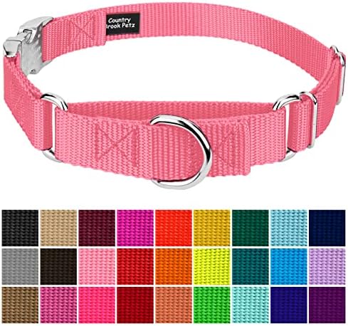 Country Brook Petz - Martingale Dog Collar - Heavy Duty Nylon Adjustable Martingale Dog Collar with Metal Buckle for Small Medium Large Breeds 30+ Color Options (1 Inch, Extra Large, Pink)
