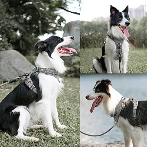 PoyPet Dog Harness and Leash Set, No Pull Vest with Front Clip and Handle