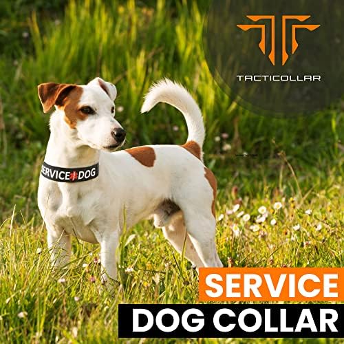 Tacticollar - Service Dog Collar, Nylon, Adjustable, Embroidery, with Space for Hook and Loop Patches ((Medium) 16-20in Length x 1.5in Width)