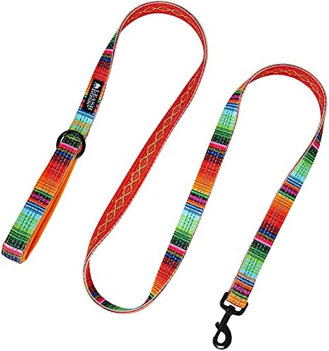 Leash Boss 6ft Dog Leash | Ultra Comfort Double-Thick Soft Padded Handle | Reflective Leash for Large Dogs, Medium Dogs | Heavy Duty Leash for Large Breed Dogs | Nylon Leash for Small Dogs/Puppies