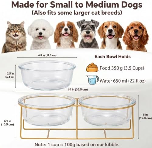 Elevated Dog Bowl Set of 2 - Double Glass Bowls with Gold Iron Stand - Raised Dishes Comfortable Feeding - Ideal for Small to Medium Sized Dogs
