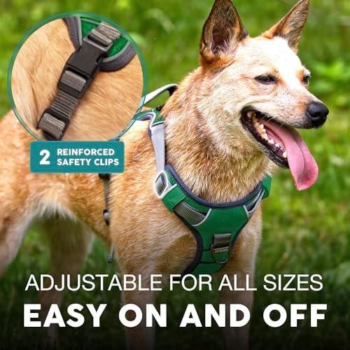 Embark No Pull Dog Harness, Reflective Adjustable Training Vest, No Choke