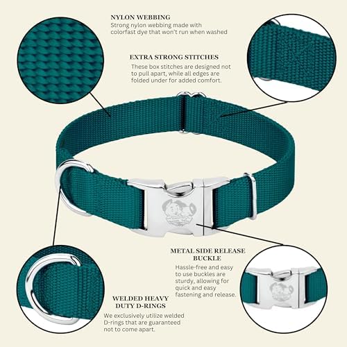 Country Brook Petz - Premium Nylon Dog Collar with Metal Buckle for Small Medium Large Breeds - 30+ Colors (Extra Large, 1 Inch, Teal)