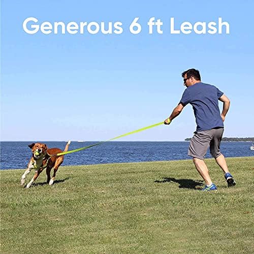 Pawtitas Personalized 6 ft Orchid Dog Leash XS/S Custom Name and Phone Embroidery Strong Nylon Leash for Small Breeds