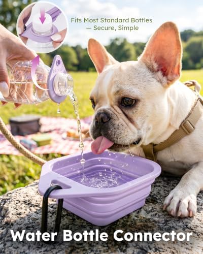 Pecute 2 Pack Foldable Dog Bowls for Travel, Portable Silicone, Pink/Purple