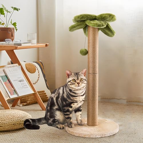 LIFLIX Cat Scratching Post Palm Tree Shape, Sturdy 34 inches Tall Sisal Scratch Post with Interactive Dangling Ball, Cute Cat Scratcher for Indoor Cats