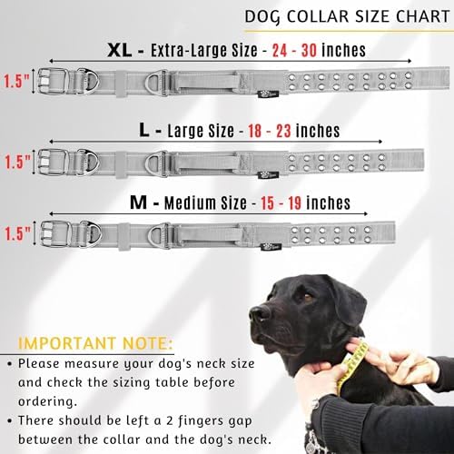 ADITYNA Heavy Duty Dog Collar for Extra-Large Dogs with Traffic Handle