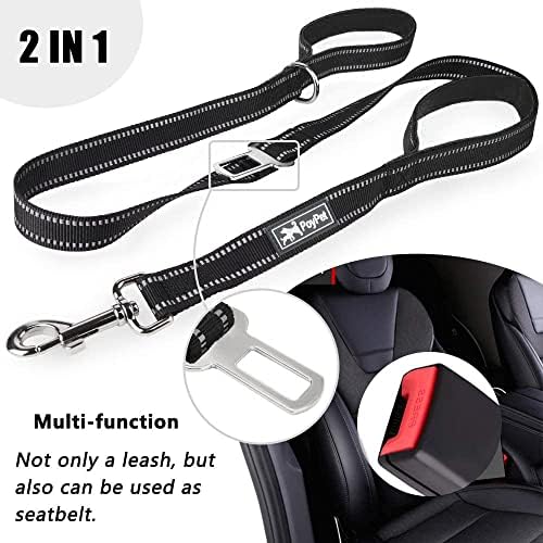 PoyPet 5 Feet Dog Leash with 2 Cushioned Handles (Black)