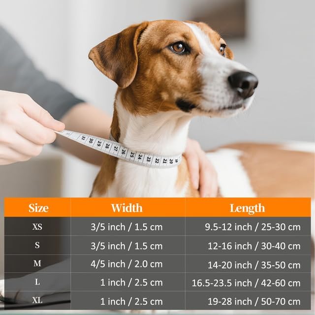 Personalized Dog Collars, Nylon Fully Reflective Dog Collar with Name Tag, Soft Padded - Custom Dogs Collars for Small, Medium, and Large Dogs&Pet
